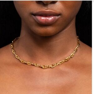 Alexis Bittar Brut Twisted Link Necklace